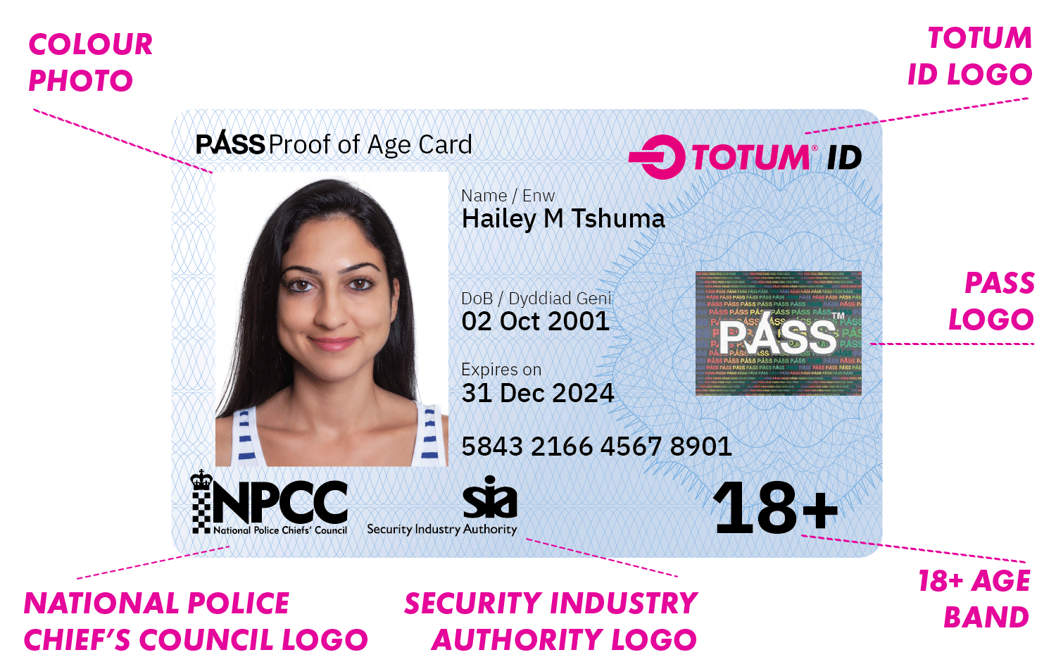 TOTUM ID LANDING PAGE CARD DIAGRAM 800X600